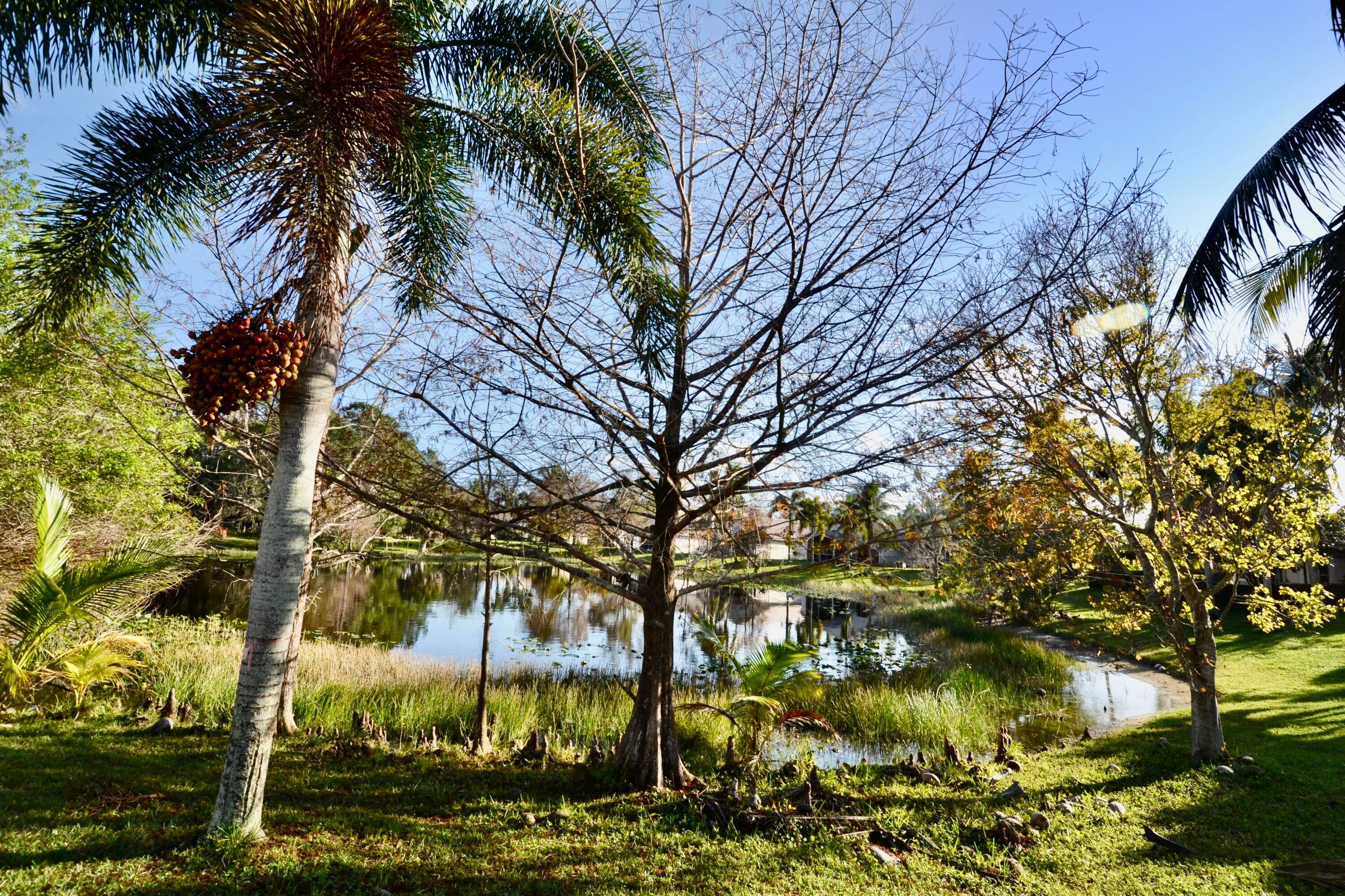 Properties 1574 Carriage Brooke Drive