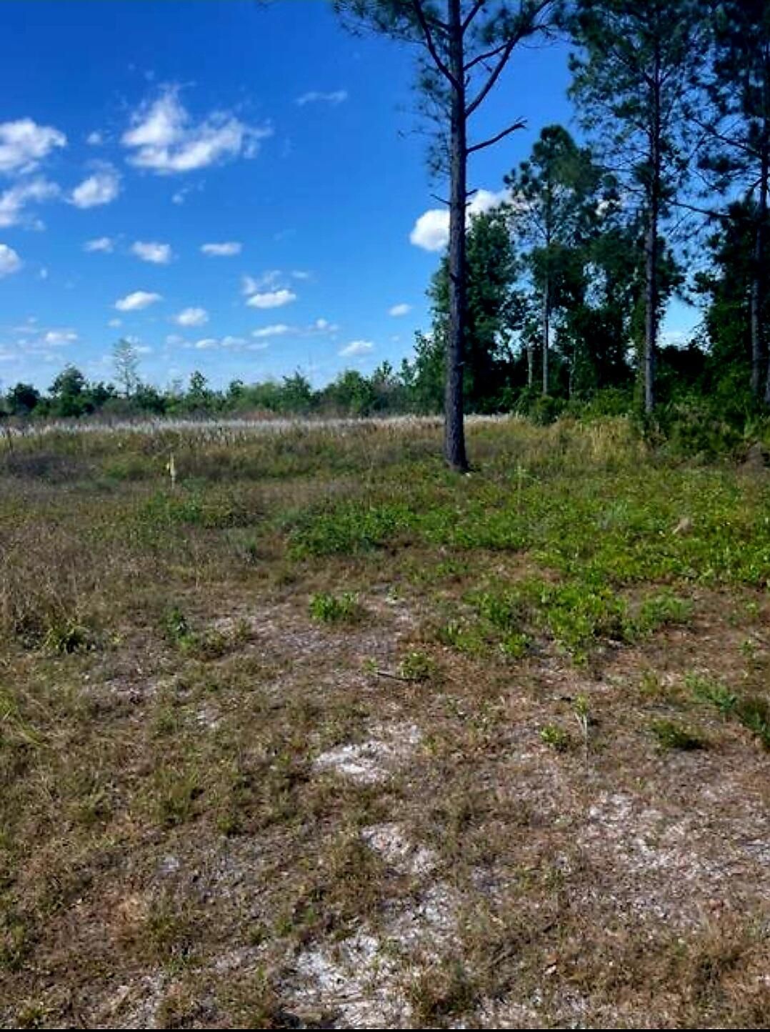 1108306 Oil Well Road