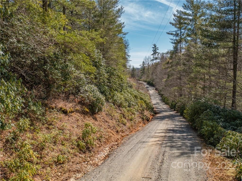 Lots 3 & 4 Bear Den Mountain View