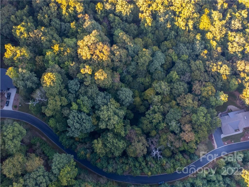 Lot 19r Shining Rock Path