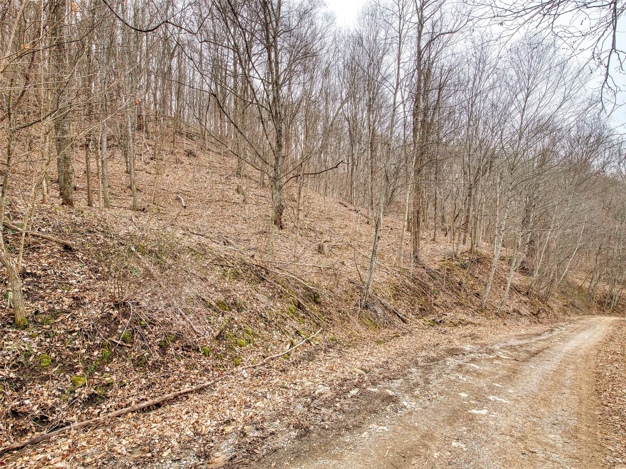 Lot 12 Lothlorian Road