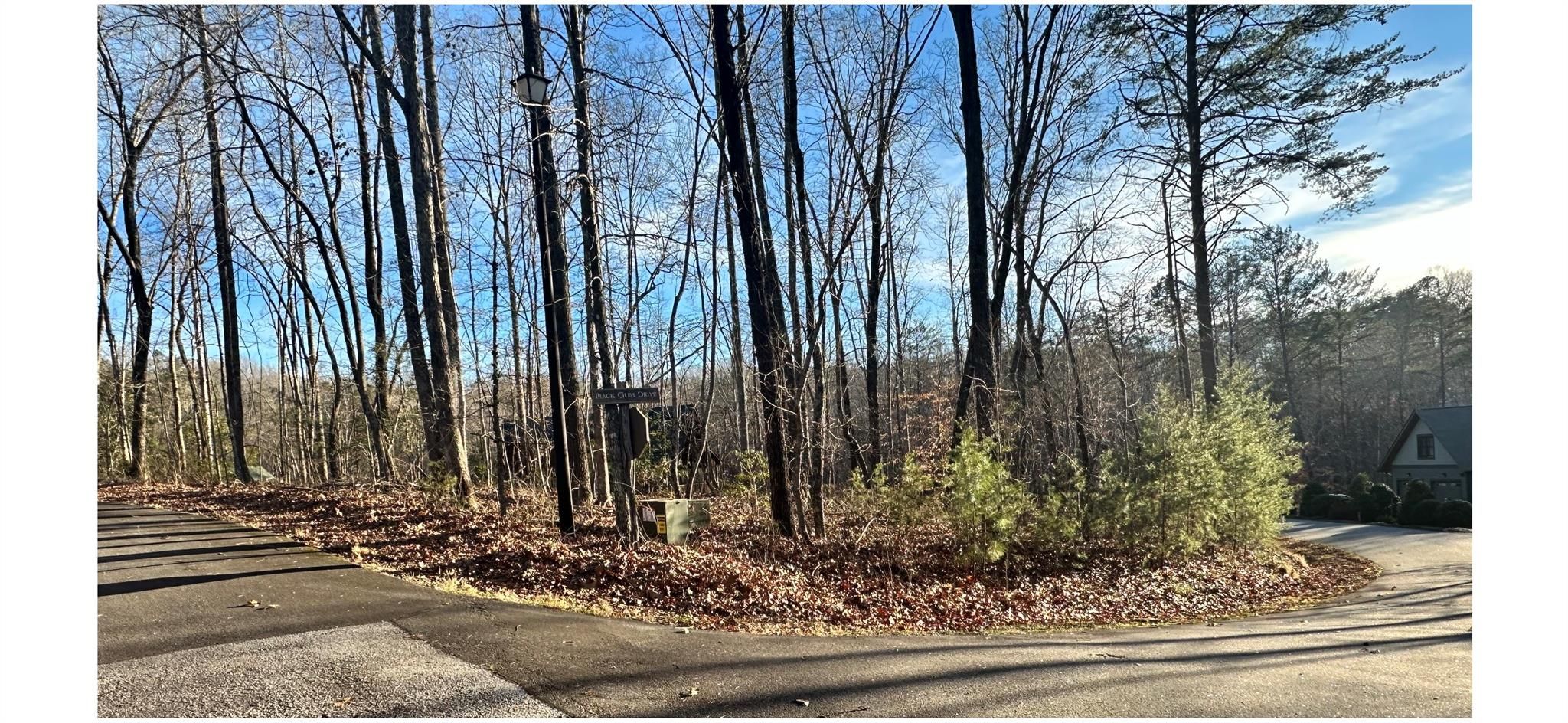 Black Gum Drive