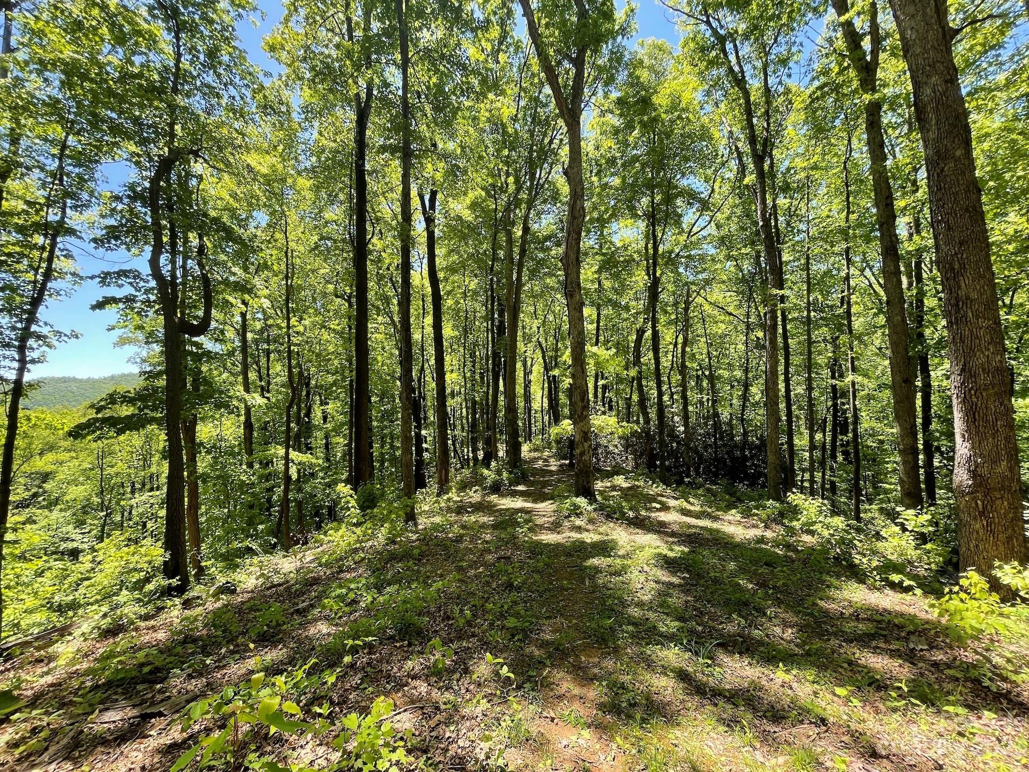 11.25 +/- Acres Ironwood Lane