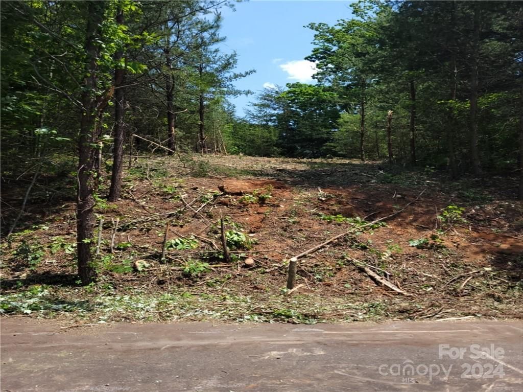 Lot 5 Burroughs Road