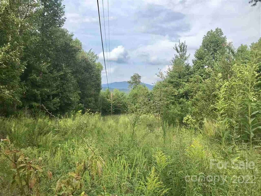 Roy Goins Road