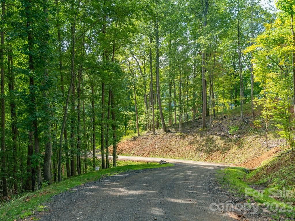 Lot 11 Locust Rough Mountain Road