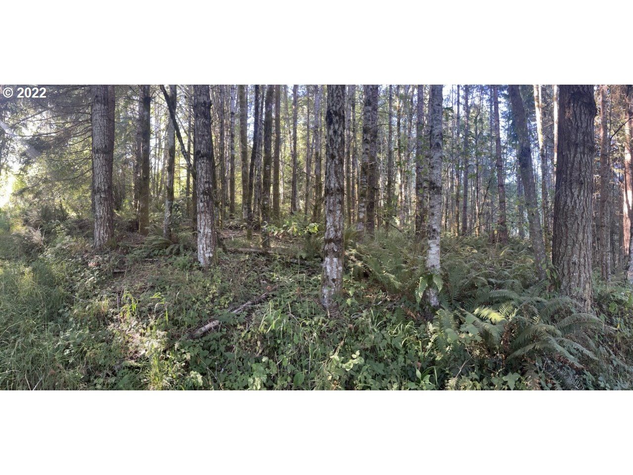 Lost Creek Rd