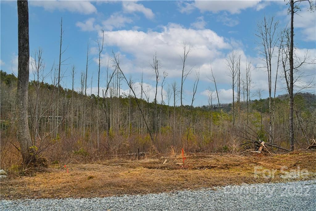 101 South Fork Trail