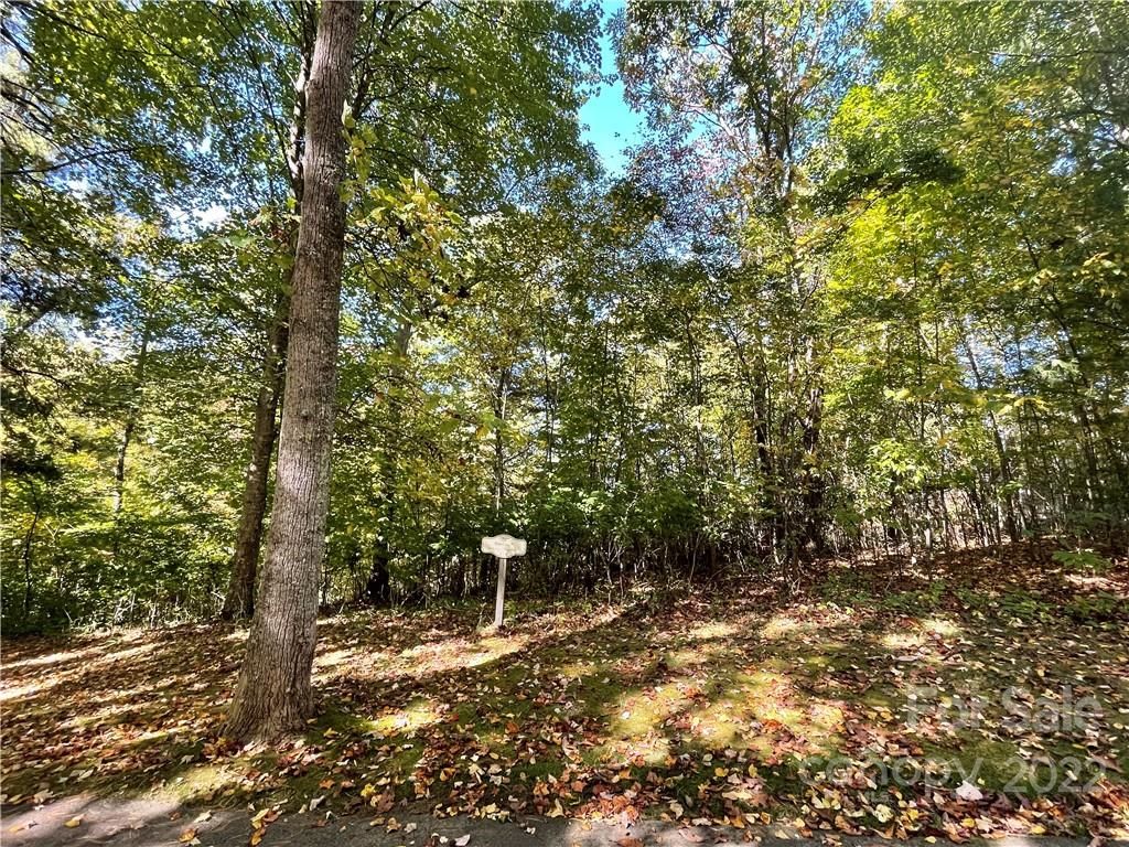 Lot 119 Springhouse Drive