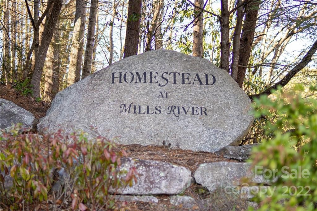 000 Mills River Way
