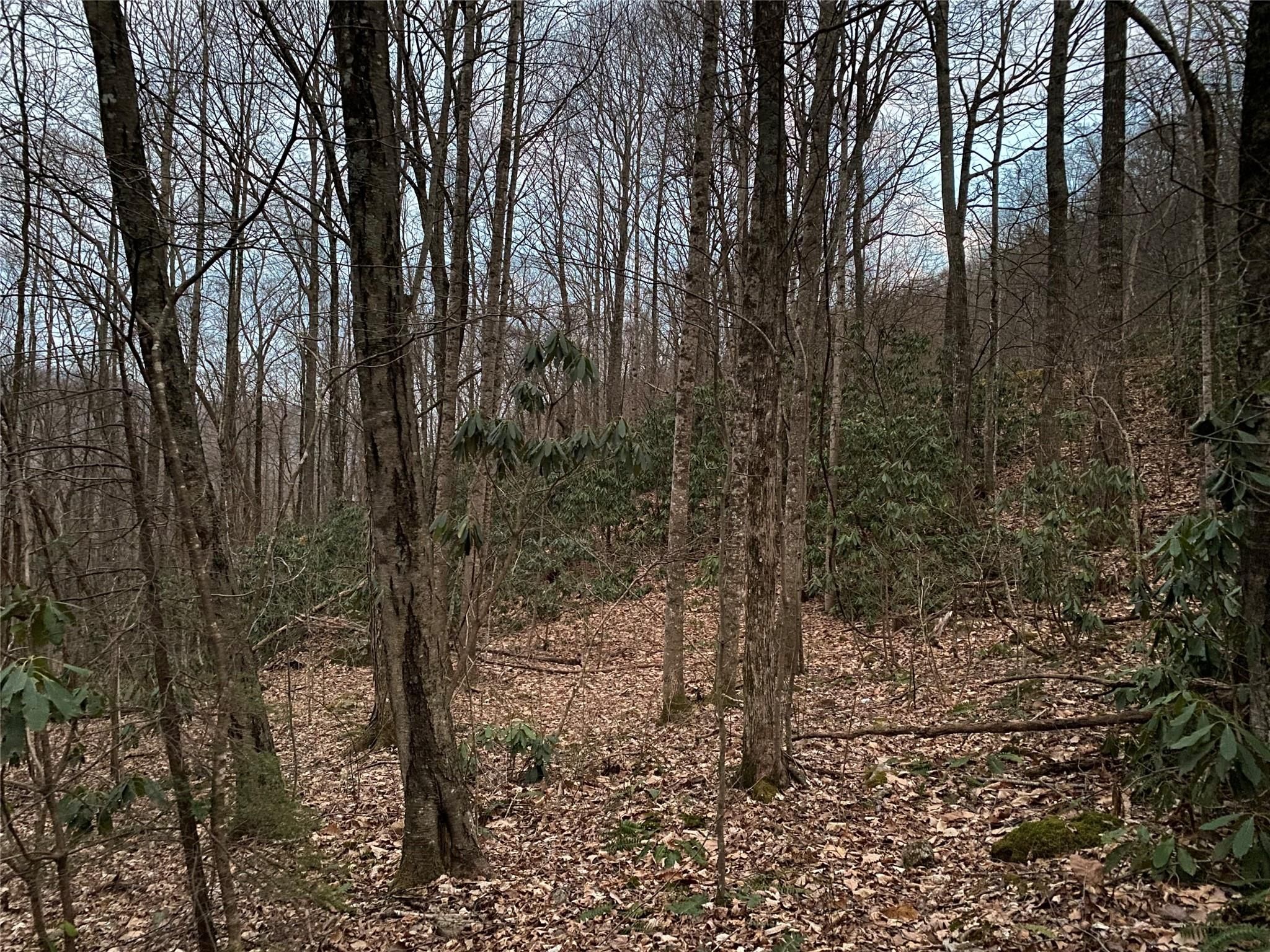 29 Wood Haven Lane