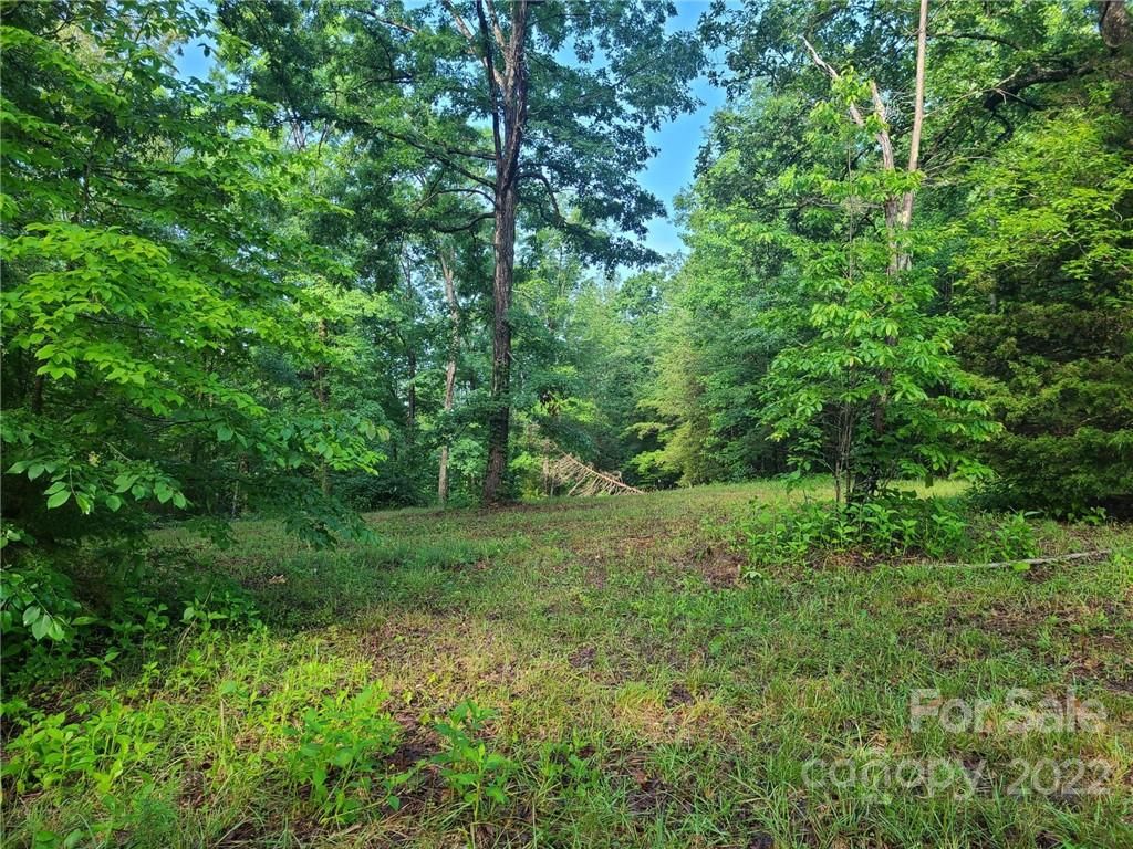 00 Polk County Line Road