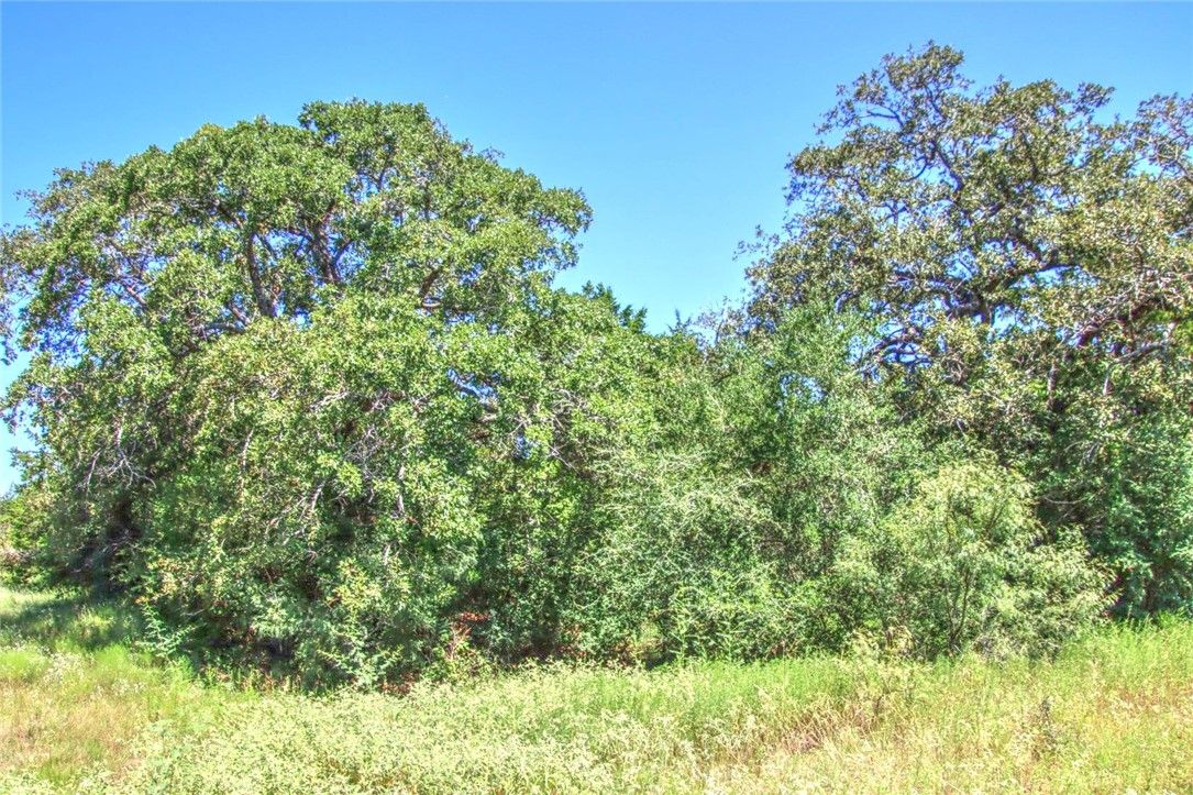 Tract 4 County Road 307