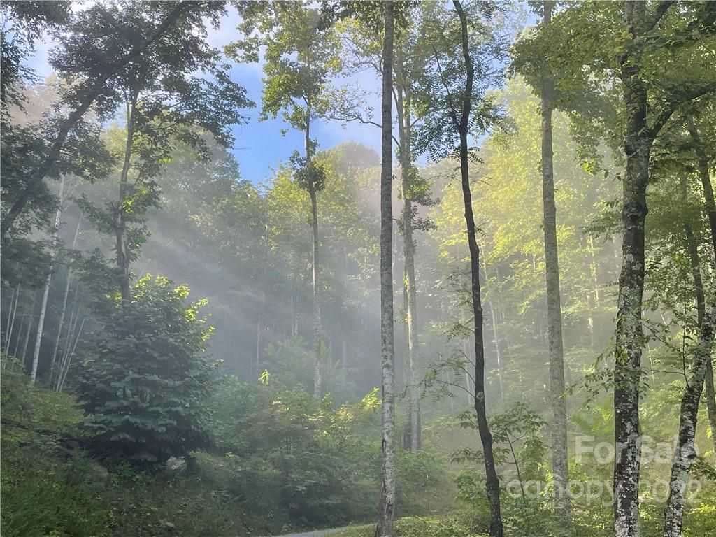 297 High Hickory Trail