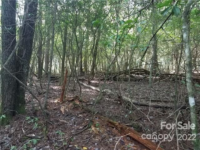 Tbd Connestee Trail