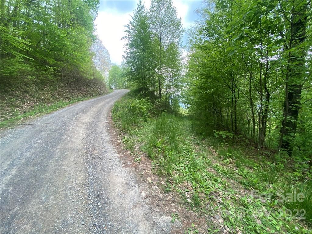 00 Hyacinth Drive