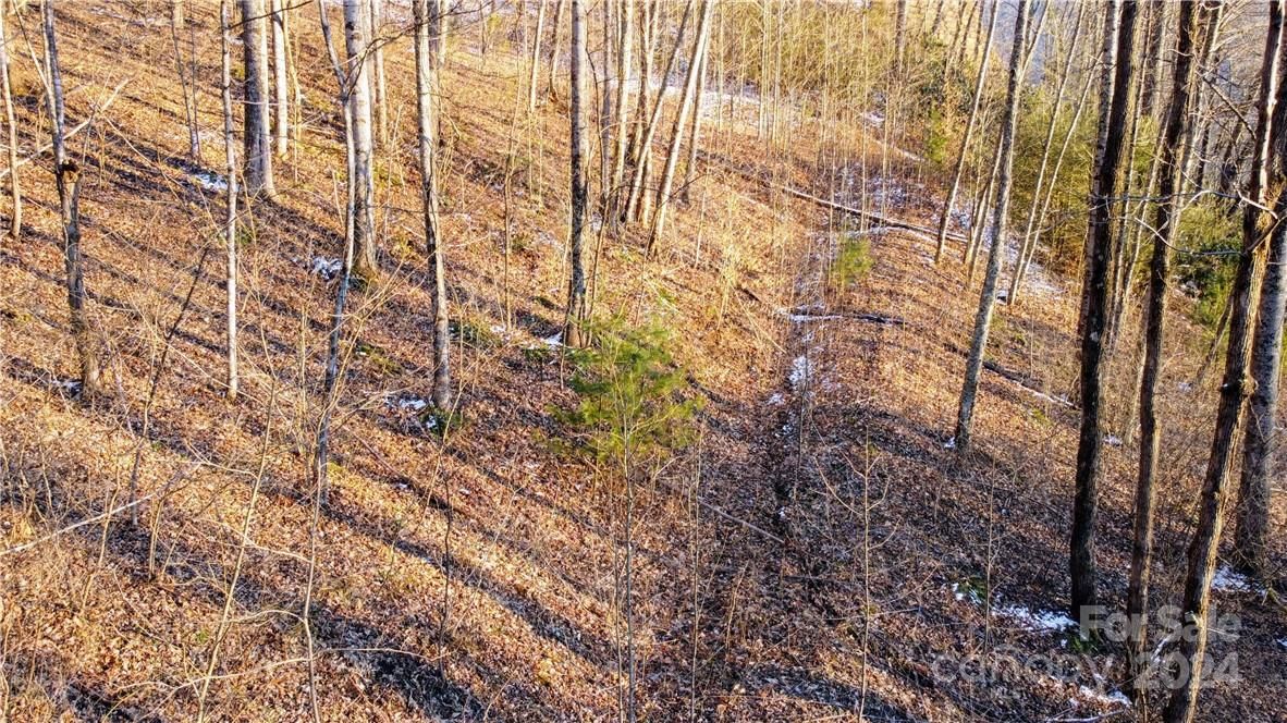 14 Trout Lily Lane