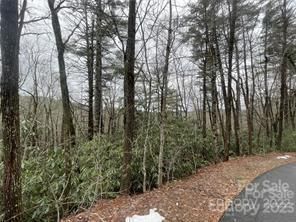 Tbd Pine Cone Court