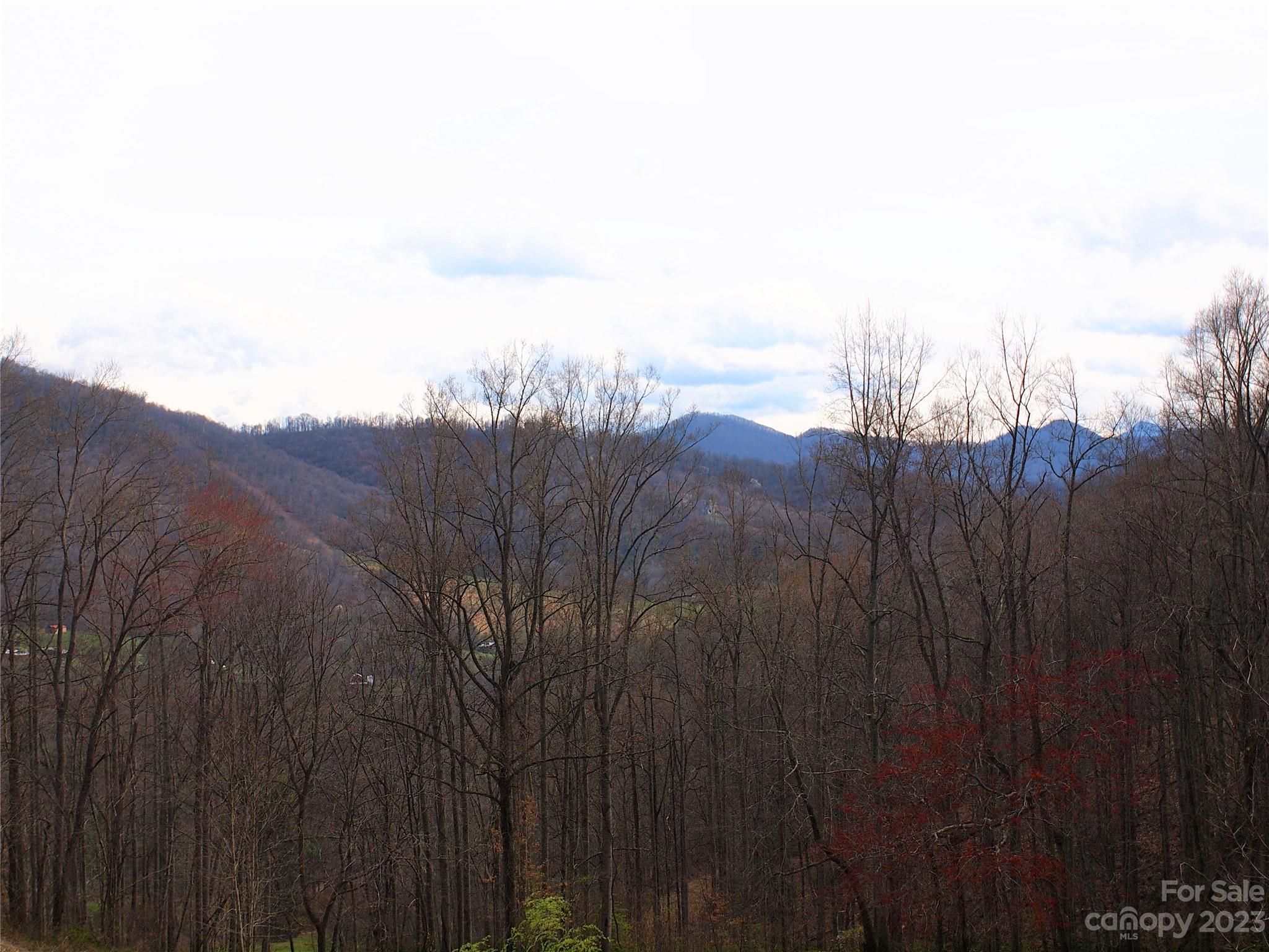 Porters Ridge Road