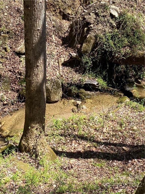 V/L Clinchfield Gap Road