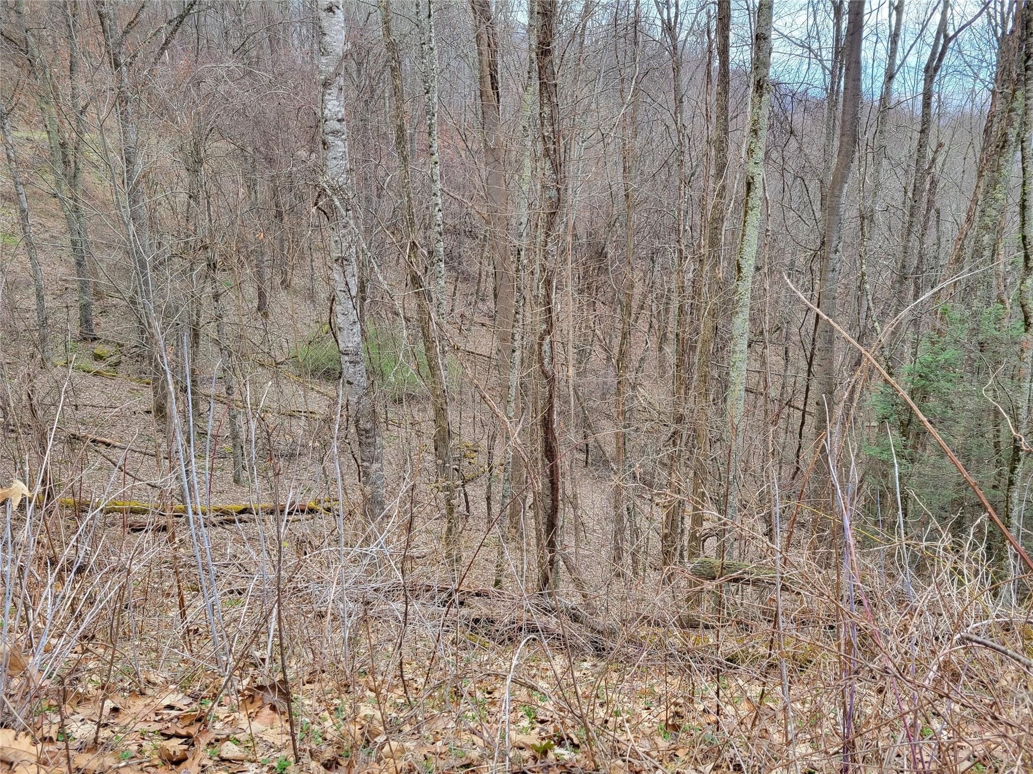 Lot 25 Bearwallow Road