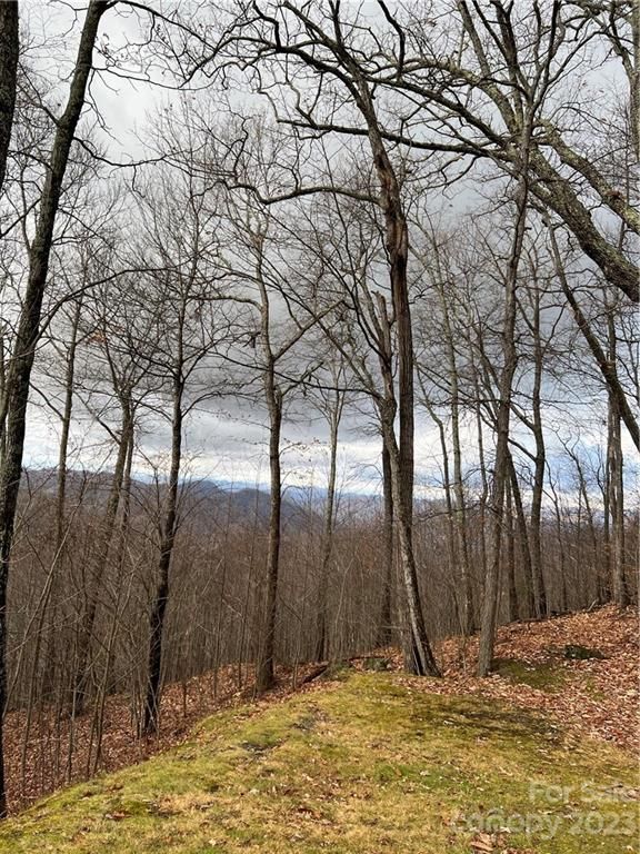 Lot 6 Andrew Banks Road