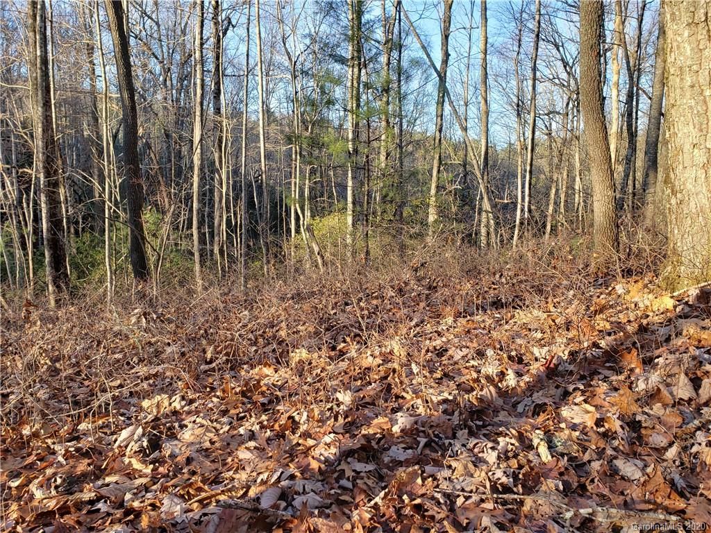 Lot 47 Big Branch Road