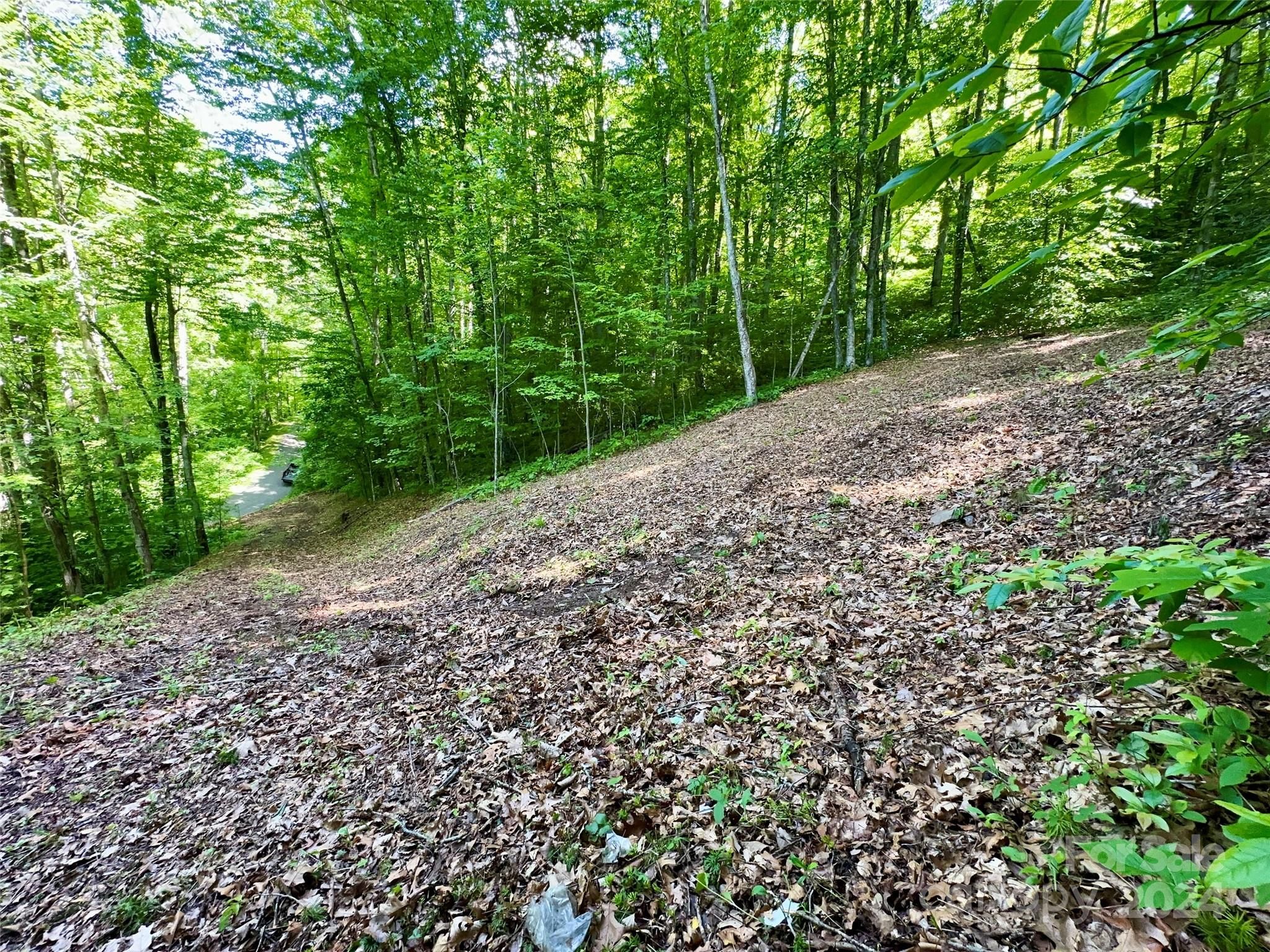14 Trout Lily Lane