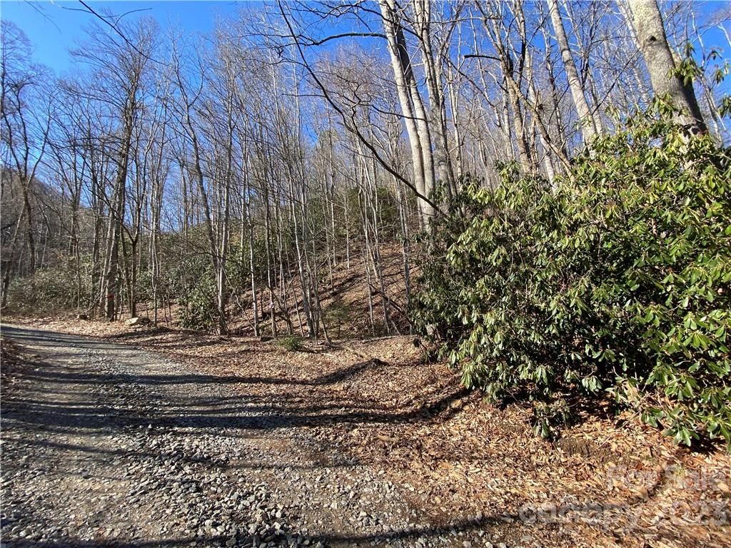 495 Warren Creek Road