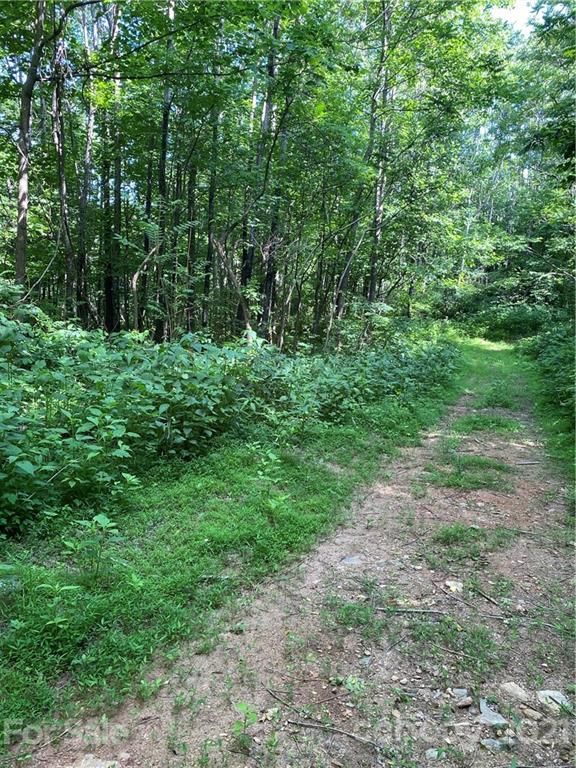 Lot 202 Cherry Hill Court