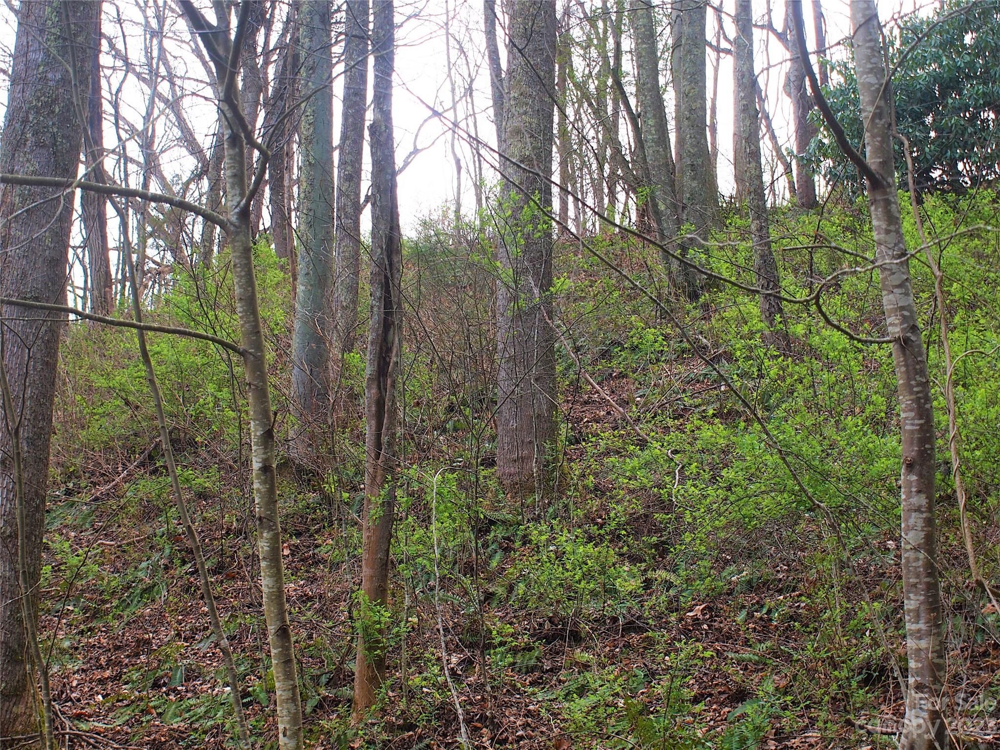 Porters Ridge Road