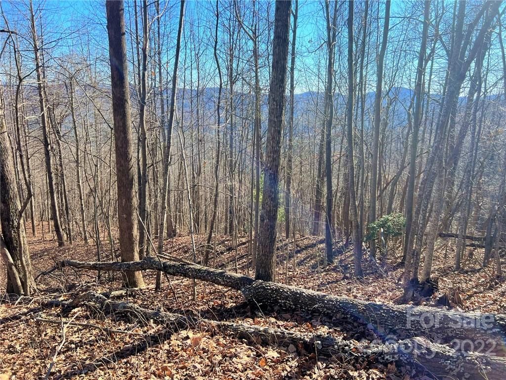 0000 Pinnacle Mountain Road