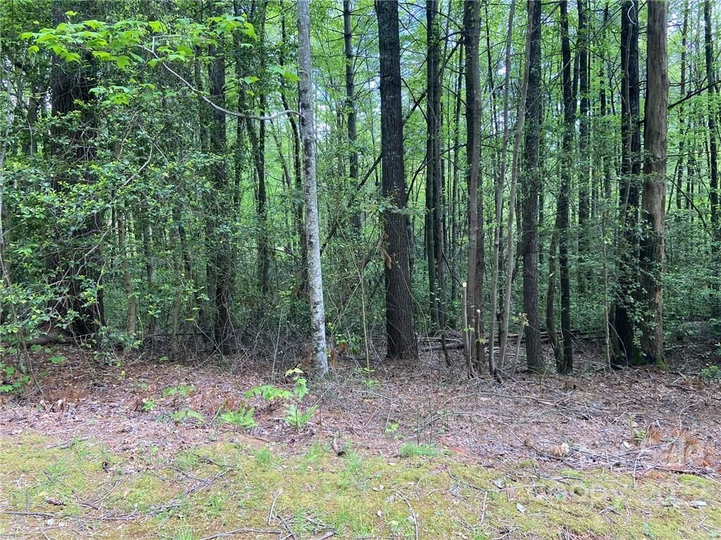 N16 Mills Creek Trace