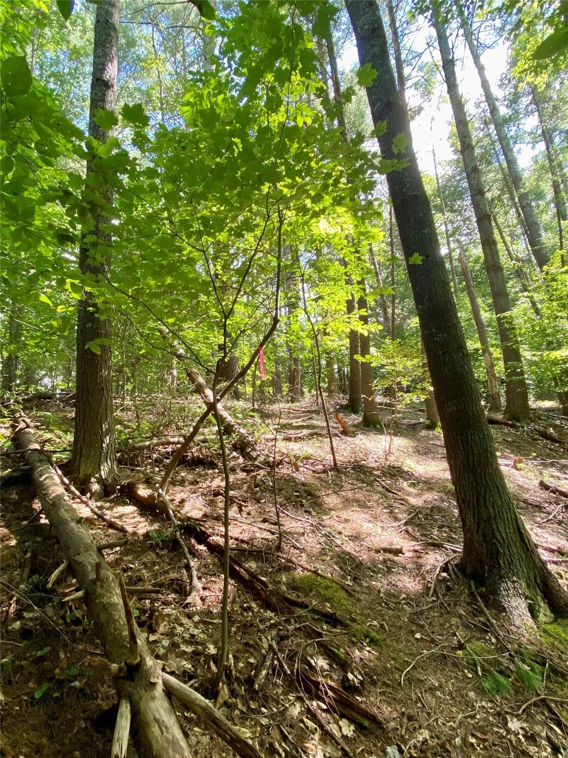 199 Lentz Landing Lane