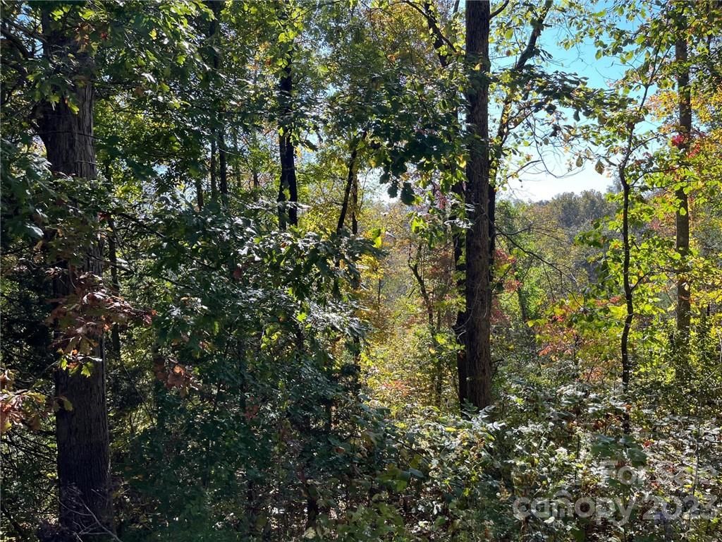 000 Rambling Creek Road