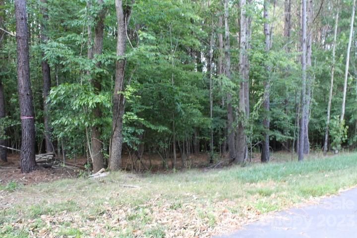 218 Table Rock Trace