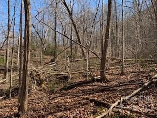 (42 Acres) Green River Cove Road