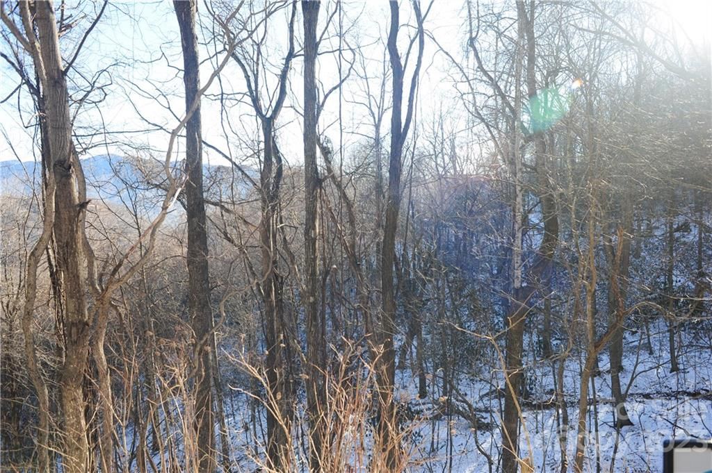 5 White Birch Court
