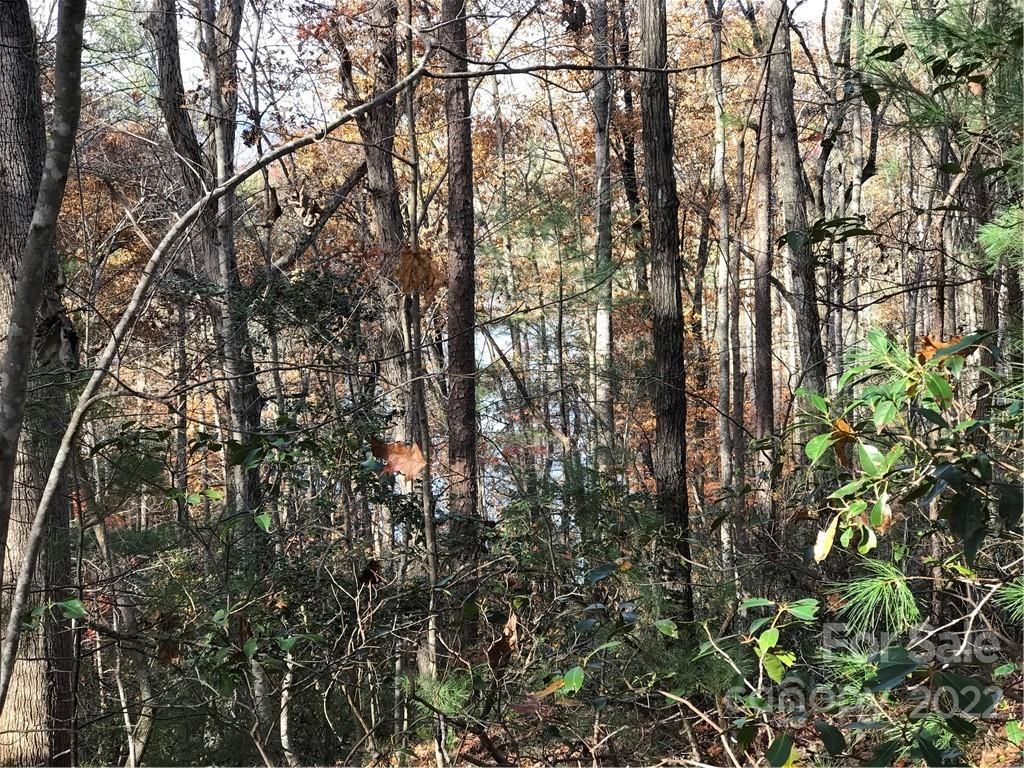 999 South Pointe Road