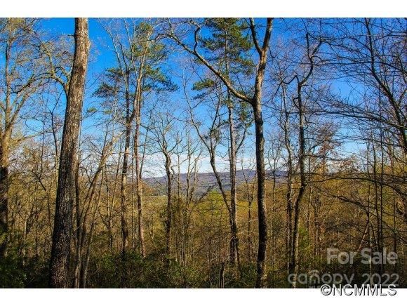 M79 Pine Mountain Trail