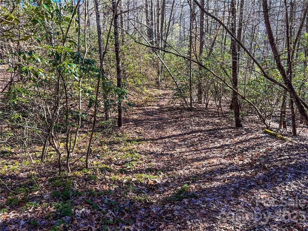 0000 Cantrell Mountain Road