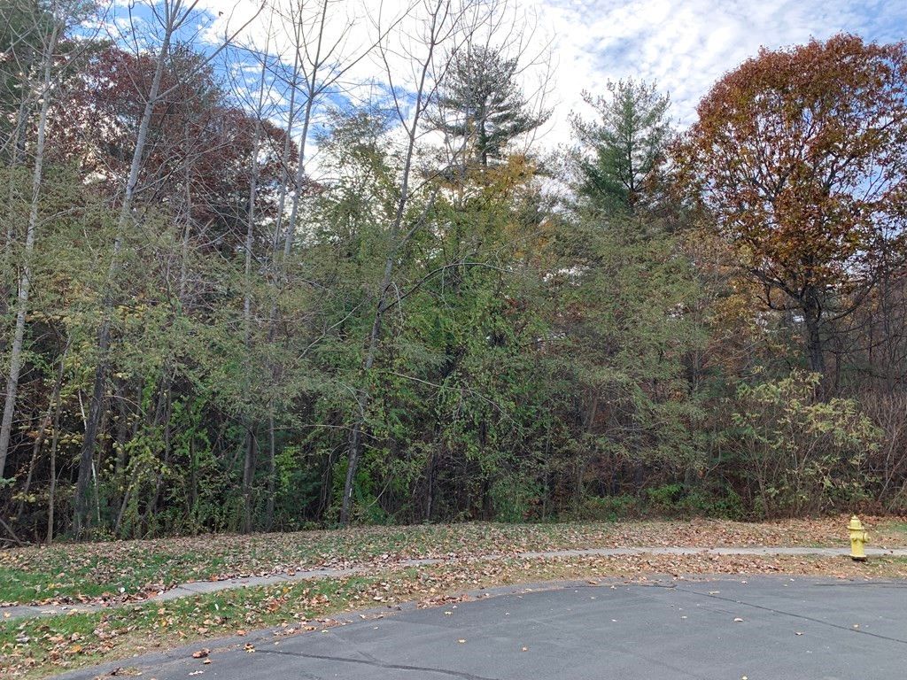 Coyote Glen