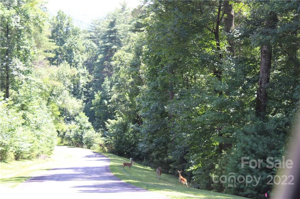 Lot 85r Mountain Home Trail