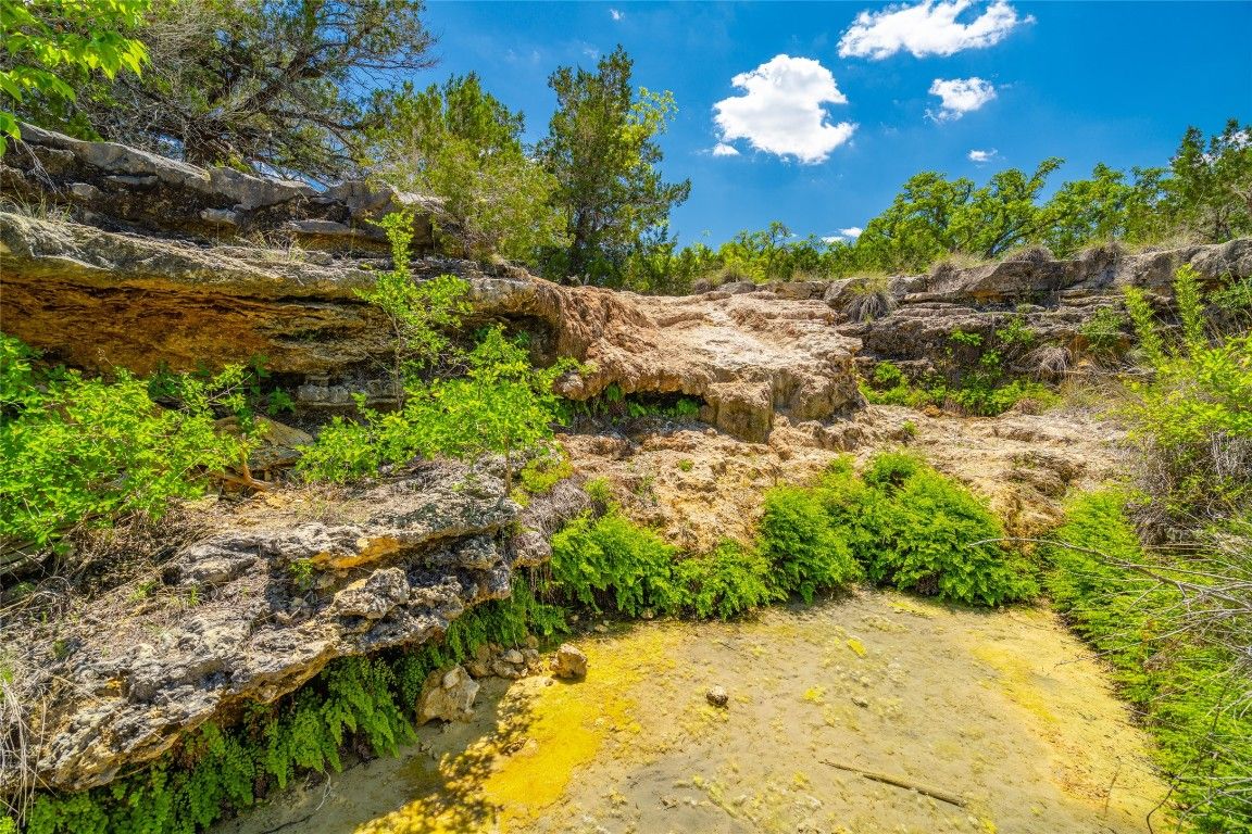Hamilton Pool Road