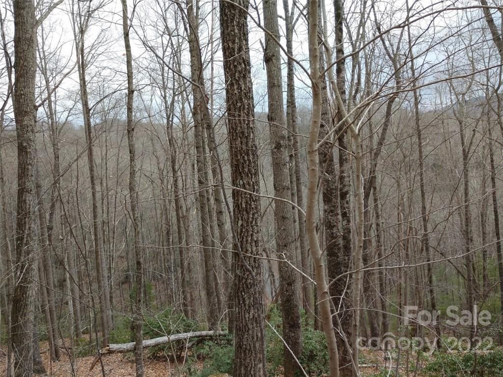 99999 Rock Cave Road