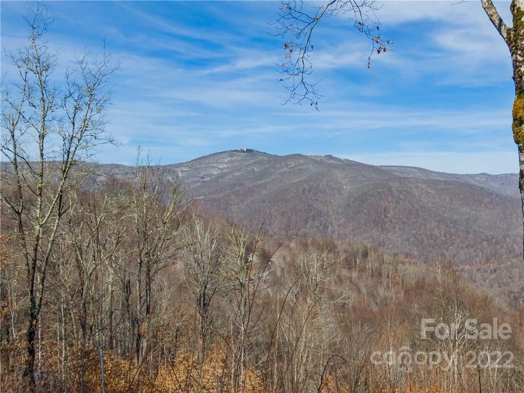 Lot 38 Black Bear Run