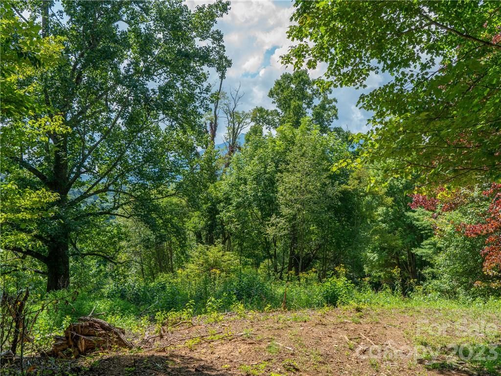 Lot 6 Locust Rough Mountain Road