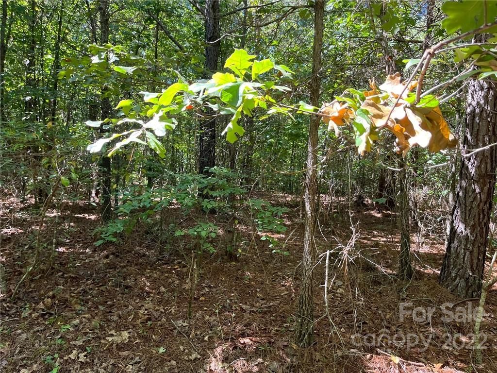 Lot 5 Pearidge Road