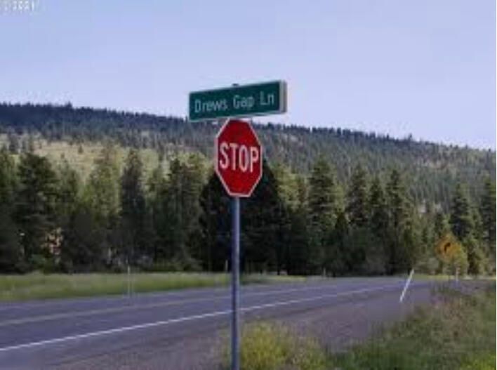 1000 Drews Gap Lane