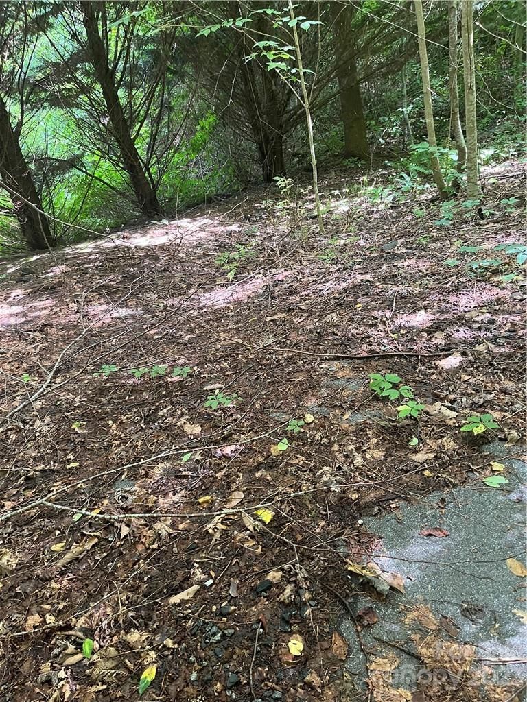 00 Cowee Mountain Road